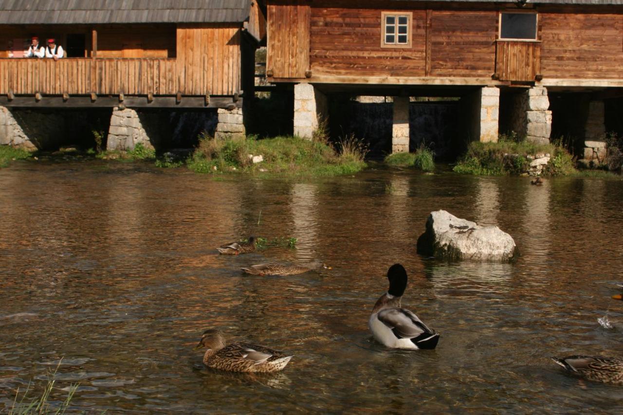 Guesthouse Samolov Vrhovine Екстер'єр фото